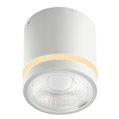 VICI IP44 12W CCT SWITCH WH AZ6040 AZZARDO